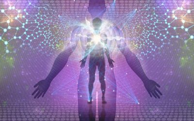 What are the aurics?